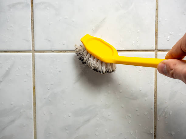 Professional Mold Removal in Commerce City, CO