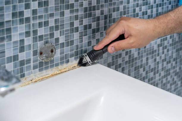 Mold Removal Process in Commerce City, CO